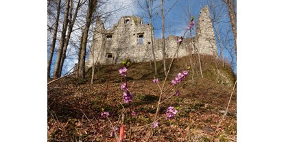 Ausflug mit Kindern - Preisniveau: kostenlos - Bürserberg - Ruine mit Seidelbast
Foto: Maria Berg - Burgruine Neuburg