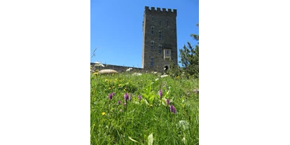 Ausflug mit Kindern - Sils/Segl Baselgia - Torre Belvedere - Naturzentrum Torre Belvedere