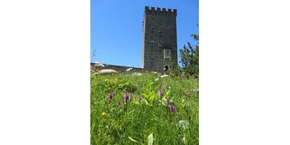 Ausflug mit Kindern - Ausflugsziel ist: ein Naturerlebnis - Vicosoprano - Torre Belvedere - Naturzentrum Torre Belvedere