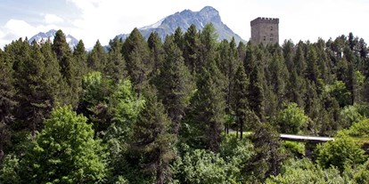 Ausflug mit Kindern - sehenswerter Ort: Turm - Graubünden - Pro Natura - Naturzentrum Torre Belvedere
