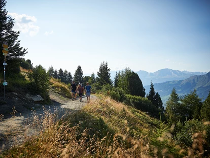 Trip with children - Graubünden - Wanderung zum Rot Tritt in Arosa. - Aussichtspunkt Rot Tritt