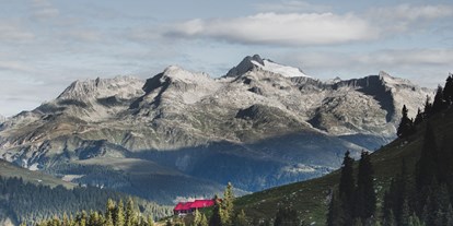 Ausflug mit Kindern - Ausflugsziel ist: ein sehenswerter Ort - Graubünden - Alp Puzzetta in der Val Medel - Betriebsgebäude der Alp Puzzetta