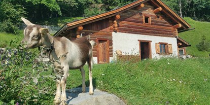 Ausflug mit Kindern - Ausflugsziel ist: ein sehenswerter Ort - PLZ 8887 (Schweiz) - Heididorf Maienfeld