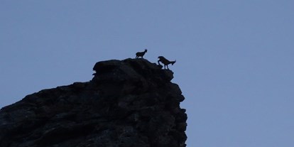 Ausflug mit Kindern - Ausflugsziel ist: ein Aussichtspunkt - Bergün/Bravuogn - Wildtierbeobachtungspunkte Alperschälli