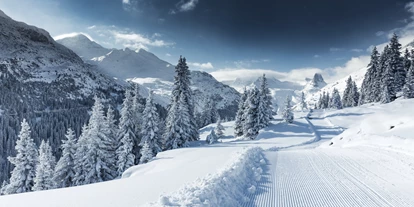 Ausflug mit Kindern - Splügen - Winterwandern - Bergbahn Vals-Gadastatt