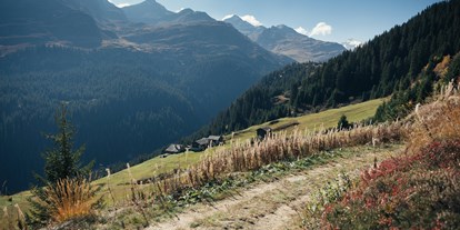 Ausflug mit Kindern - Witterung: Schönwetter - Ostschweiz - Sommerwandern - Bergbahn Vals-Gadastatt