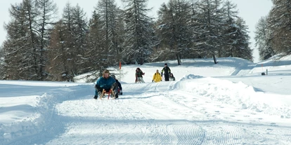 Trip with children - Ausflugsziel ist: ein Skigebiet - Flims Waldhaus - Feldis