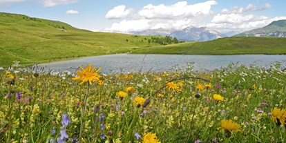 Ausflug mit Kindern - Alter der Kinder: über 10 Jahre - Tschiertschen - Blumenwiese am Bergsee - Naturpark Beverin