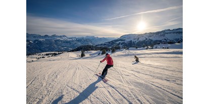 Ausflug mit Kindern - WC - Glarus-Stadt - Skispass am Flumserberg - Wintersportgebiet Flumserberg