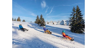 Trip with children - Ausflugsziel ist: ein Skigebiet - Brülisau - Schlittelspass am Flumserberg - Wintersportgebiet Flumserberg