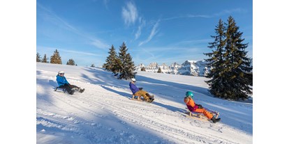 Ausflug mit Kindern - Dauer: ganztags - Urnäsch - Schlittelspass am Flumserberg - Wintersportgebiet Flumserberg