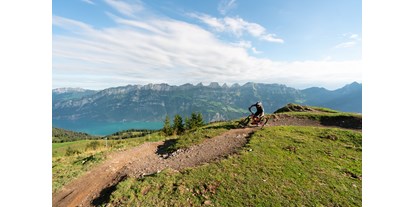 Ausflug mit Kindern - Ausflugsziel ist: ein Wandergebiet - Glarus-Stadt - BikerBerg Flumserberg - Wintersportgebiet Flumserberg