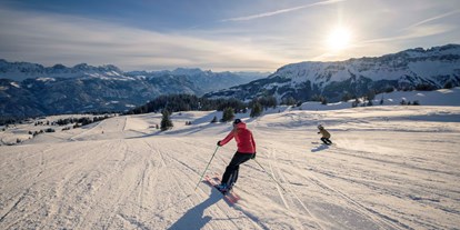 Ausflug mit Kindern - Umgebungsschwerpunkt: Berg - PLZ 8765 (Schweiz) - Wintersportgebiet Flumserberg