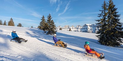 Ausflug mit Kindern - Weg: Erlebnisweg - Brülisau - Wintersportgebiet Flumserberg