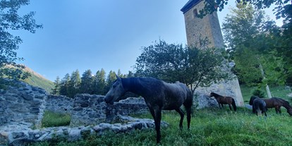 Ausflug mit Kindern - Witterung: Schönwetter - Ostschweiz - Nachtweide für die Pferde - Stalla Chapella / Bogenparcours Engadin
