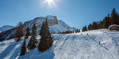 Trip with children - Ausflugsziel ist: ein sehenswerter Ort - Mutten - Skigebiet Tschiertschen