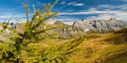 Ausflug mit Kindern - Ausflugsziel ist: ein Naturerlebnis - PLZ 8898 (Schweiz) - Moor über dem Malanser Älpli.  - Moor über dem Malanser Älpli