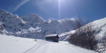 Ausflug mit Kindern - Schweiz - Winterwandern, Langlaufen, Schneeschuhwandern, Skitouren - Safiental - Rheinschlucht im Naturpark Beverin
