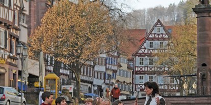 Ausflug mit Kindern - Parkmöglichkeiten - Bad Liebenzell - Kinderführungen