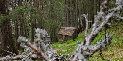 Ausflug mit Kindern - Ausflugsziel ist: eine Wanderung - Bürs - Das "Bruderhüsli" im Dalaaser Wald am Kristberg im Silbertal, dem Genießerberg im Montafon - Der Sagenwanderweg (Sagenweg) vom Kristberg ins Silbertal
