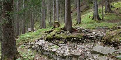 Ausflug mit Kindern - Witterung: Bewölkt - Schnepfau - Der Sagenwanderweg (Sagenweg) vom Kristberg ins Silbertal