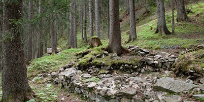 Ausflug mit Kindern - sehenswerter Ort: Ruine - Innerberg (Bartholomäberg) - Der Sagenwanderweg (Sagenweg) vom Kristberg ins Silbertal