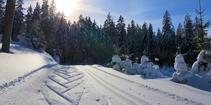 Ausflug mit Kindern - Witterung: Schnee - PLZ 4372 (Österreich) - Langlaufgebiet Bärnkopf