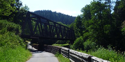 Ausflug mit Kindern - Ausflugsziel ist: ein Weg - Baden-Württemberg - Nagoldtal Radweg