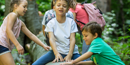 Ausflug mit Kindern - Ausflugsziel ist: ein Weg - Hausleithen - Baumlehrpfad Stiftsgymnasium Wilhering