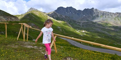 Ausflug mit Kindern - Themenschwerpunkt: Spielen - © Mario Curti - Holzkugelbahn Alp Trider Sattel