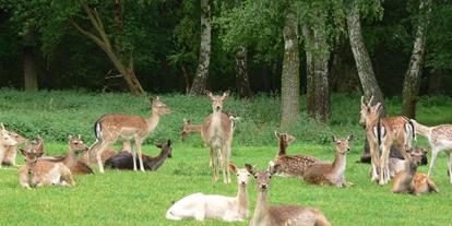 Ausflug mit Kindern - Ausflugsziel ist: ein Tierpark - Deutschland - Hochwildpark Rheinland