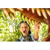 Destination d'excursion - Zähne! - Dinosaurierpark Teufelsschlucht