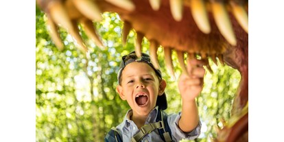 Ausflug mit Kindern - Parkmöglichkeiten - Hamm (Eifelkreis Bitburg-Prüm) - Zähne! - Dinosaurierpark Teufelsschlucht