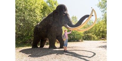 Ausflug mit Kindern - Witterung: Bewölkt - Schankweiler - Eiszeit - Dinosaurierpark Teufelsschlucht