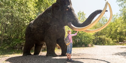 Ausflug mit Kindern - Kinderwagen: vollständig geeignet - Saarburg - Dinosaurierpark Teufelsschlucht