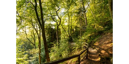 Ausflug mit Kindern - Eifel - Felstürme im Schluchtwald - teuflisch schön! - Die "Teuflische Acht" - Naturparkzentrum Teufelsschlucht