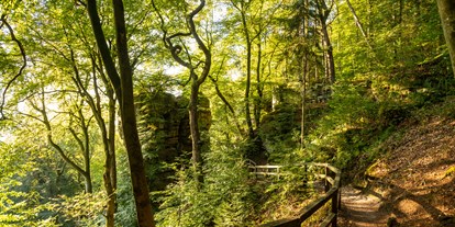 Ausflug mit Kindern - Schatten: vollständig schattig - Feilsdorf - Die "Teuflische Acht" - Naturparkzentrum Teufelsschlucht