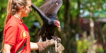 Ausflug mit Kindern - Alter der Kinder: über 10 Jahre - Monschau - Greifvogelstation & Wildfreigehege Hellenthal