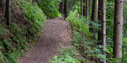 Ausflug mit Kindern - Ausflugsziel ist: ein Naturerlebnis - Zülpich - Symbolbild für Ausflugsziel Rangertouren im Nationalpark Eifel. Keine korrekte oder ähnlich Darstellung! - Rangertouren im Nationalpark Eifel