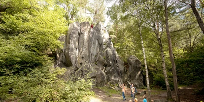Ausflug mit Kindern - Ausflugsziel ist: eine Wanderung - Niederdürenbach - Traumpfad Vulkanpfad