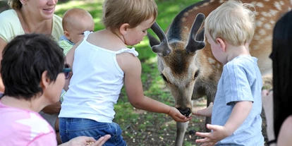 Trip with children - Daun - Wildpark - Wild- und Freizeitpark Klotten
