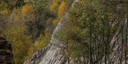Ausflug mit Kindern - Ausflugsziel ist: ein Naturerlebnis - Klettergarten Haldenstein - Klettergarten Haldenstein