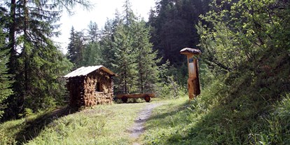 Ausflug mit Kindern - Ausflugsziel ist: ein Weg - Graubünden - Zwergenweg – «Via dals Nanins» in Tarasp, Unterengadin
©Irene Hochstrasser - Zwergenweg – «Via dals Nanins»