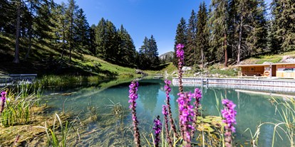 Ausflug mit Kindern - Bad: Badesee - Graubünden - Lai da Padnal Badesee