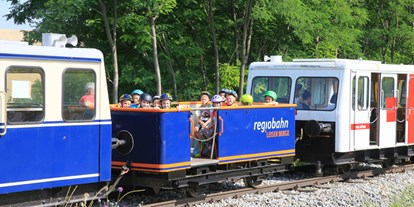 Ausflug mit Kindern - Ausflugsziel ist: eine Bahn - Mit dem Schienentaxi kann die Bergauffahrt bequem übersprungen werden - Weinviertel Draisine