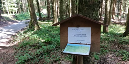 Ausflug mit Kindern - Umgebungsschwerpunkt: Wald - Kleinberg (Nußdorf am Haunsberg) - Tiefensteinklamm