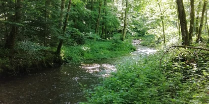 Ausflug mit Kindern - Umgebungsschwerpunkt: Wald - Kleinberg (Nußdorf am Haunsberg) - Tiefensteinklamm