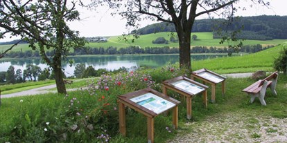 Ausflug mit Kindern - Witterung: Bewölkt - Salzburger Seenland - Tannberg Rundweg