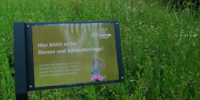 Ausflug mit Kindern - Witterung: Bewölkt - Salzburger Seenland - Haunsberg Rundwanderweg