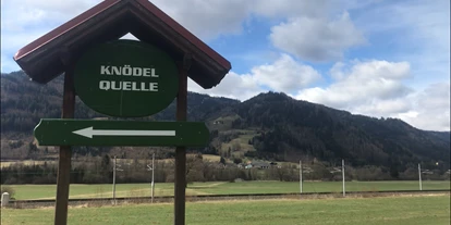 Ausflug mit Kindern - Schatten: halb schattig - Steiermark - Weg zur Knödelquelle - Knödelquelle